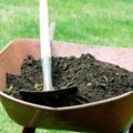 あれ……? 家庭菜園をする上で必須な土作りの方法ってどうすればいいんだろう?