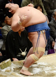10年ぶりの日本人力士優勝を勝ち取った「琴奨菊」